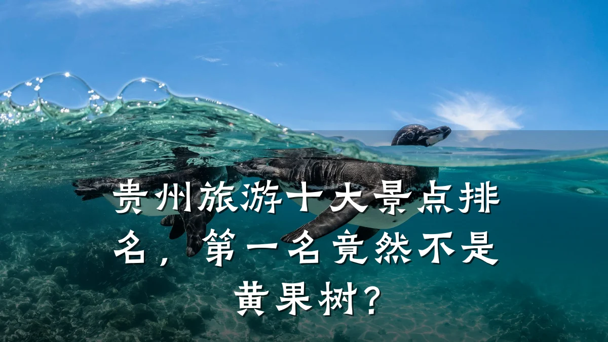 贵州旅游十大景点排名,第一名竟然不是黄果树?
