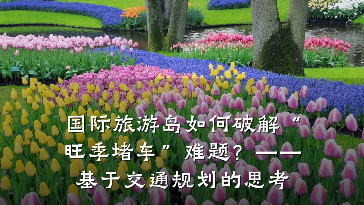 国际旅游岛如何破解“旺季堵车”难题?——基于交通规划的思考