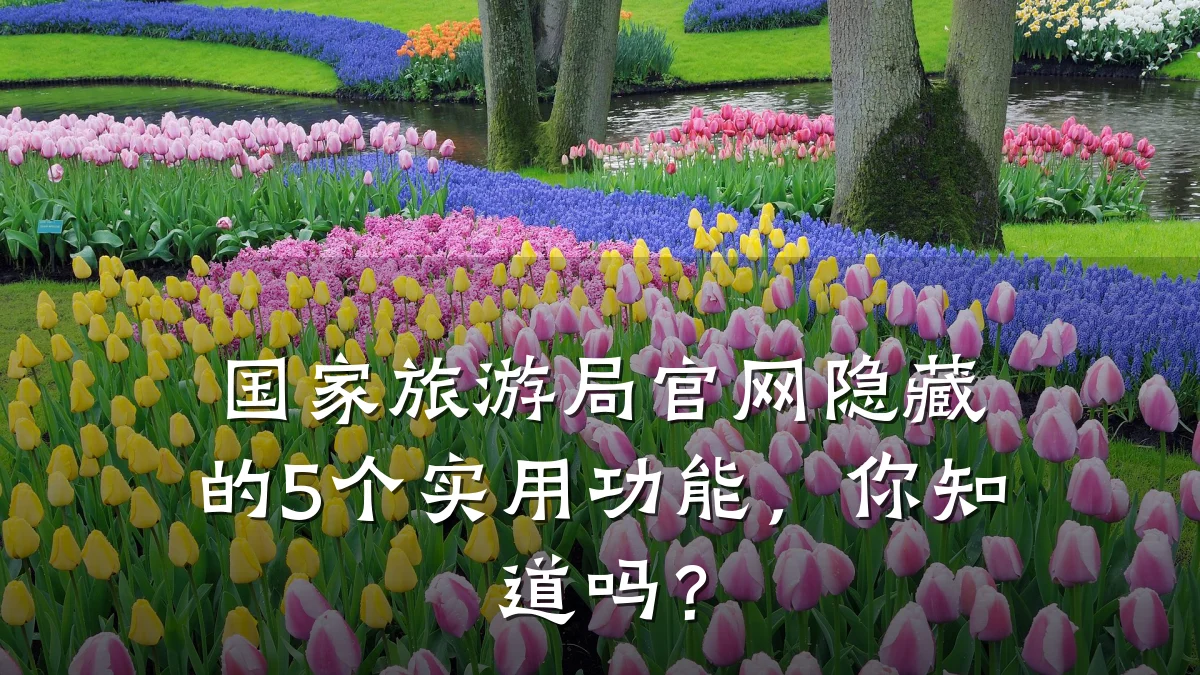 国家旅游局官网隐藏的5个实用功能,你知道吗?
