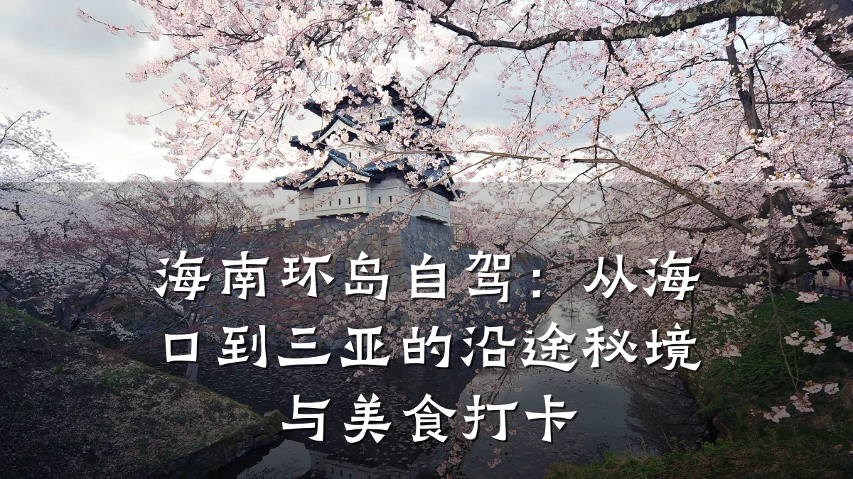 海南环岛自驾:从海口到三亚的沿途秘境与美食打卡