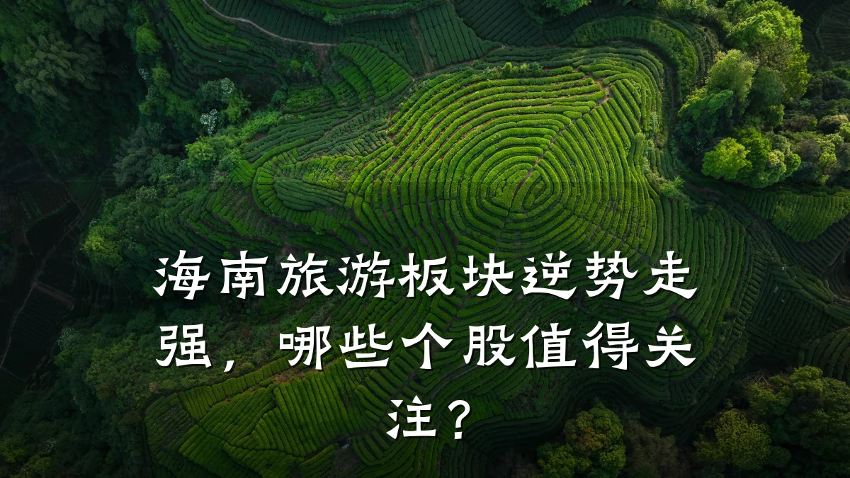 海南旅游板块逆势走强,哪些个股值得关注?