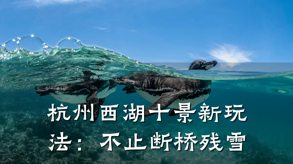 杭州西湖十景新玩法:不止断桥残雪