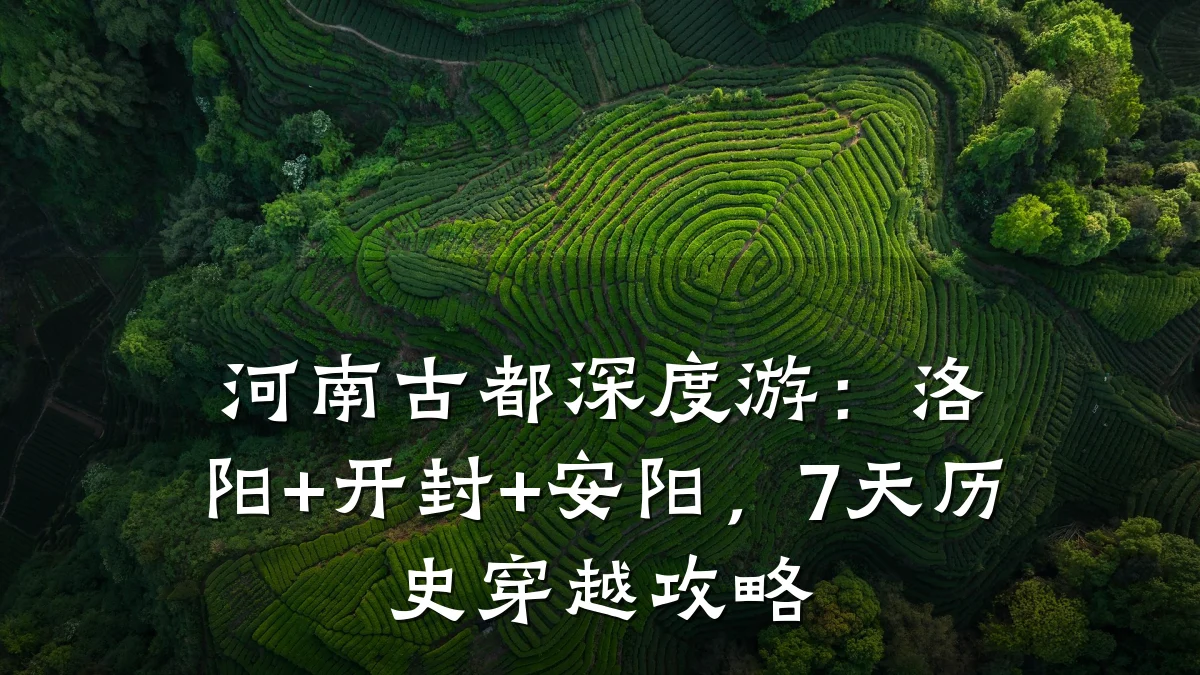 河南古都深度游：洛阳+开封+安阳，7天历史穿越攻略