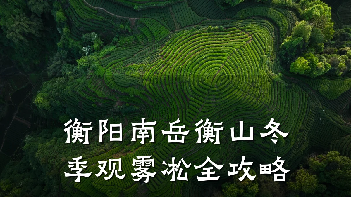 衡阳南岳衡山冬季观雾凇全攻略