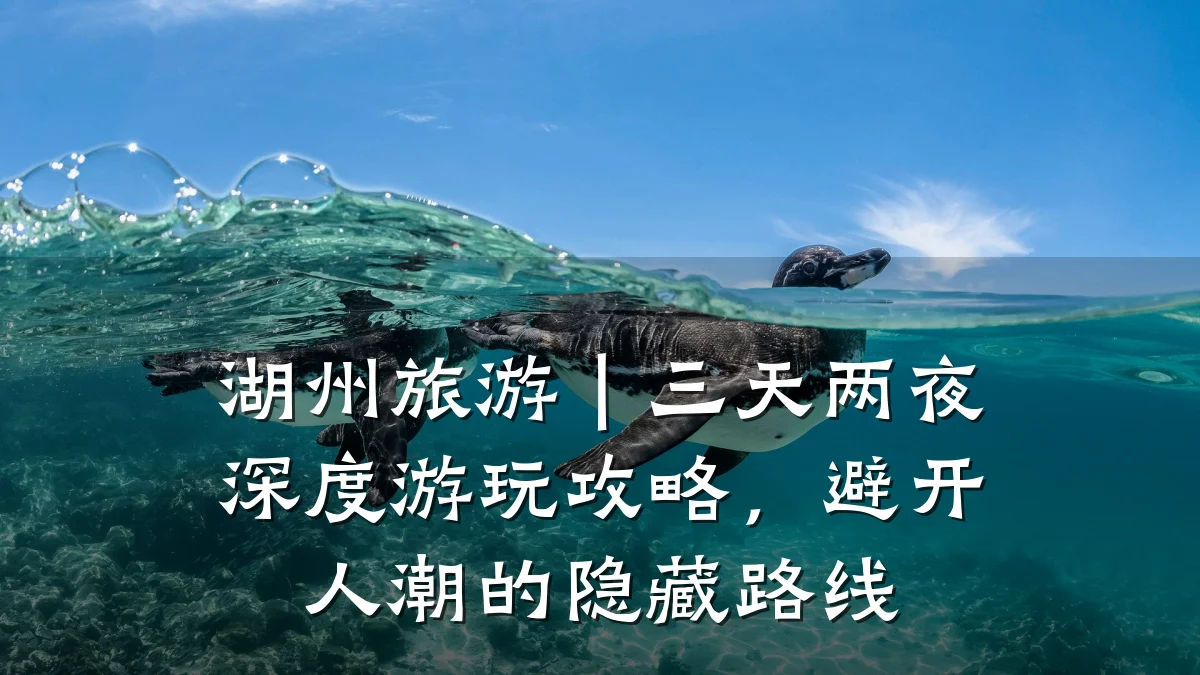 湖州旅游|三天两夜深度游玩攻略,避开人潮的隐藏路线