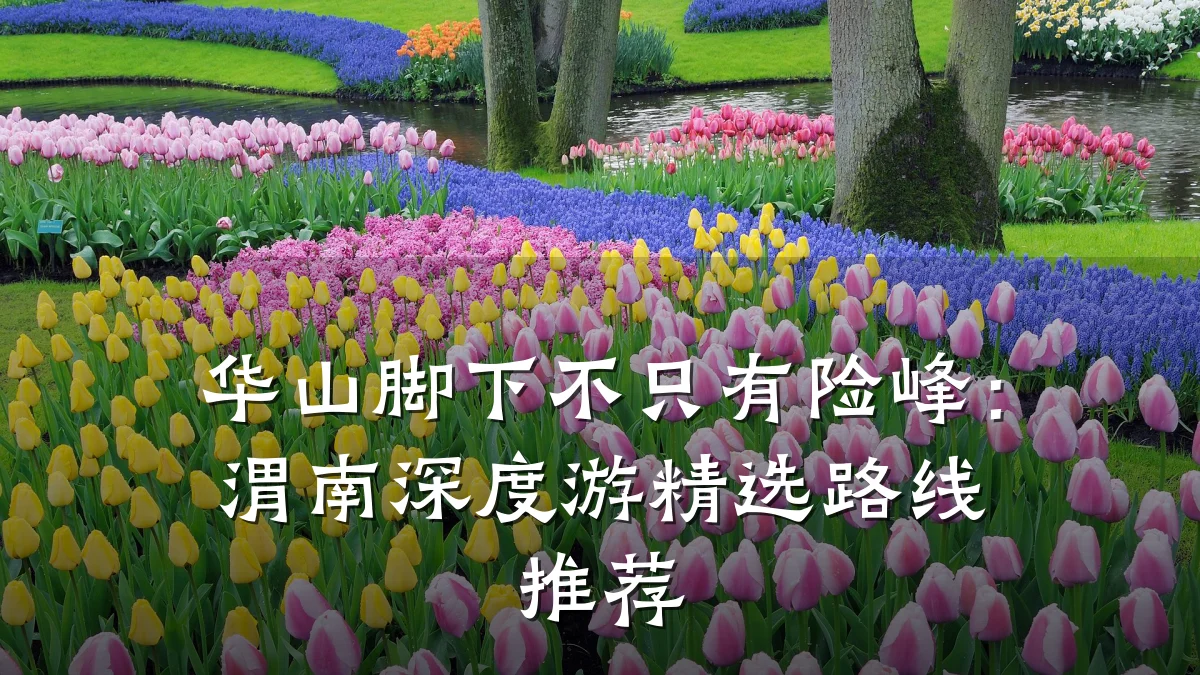 华山脚下不只有险峰:渭南深度游精选路线推荐
