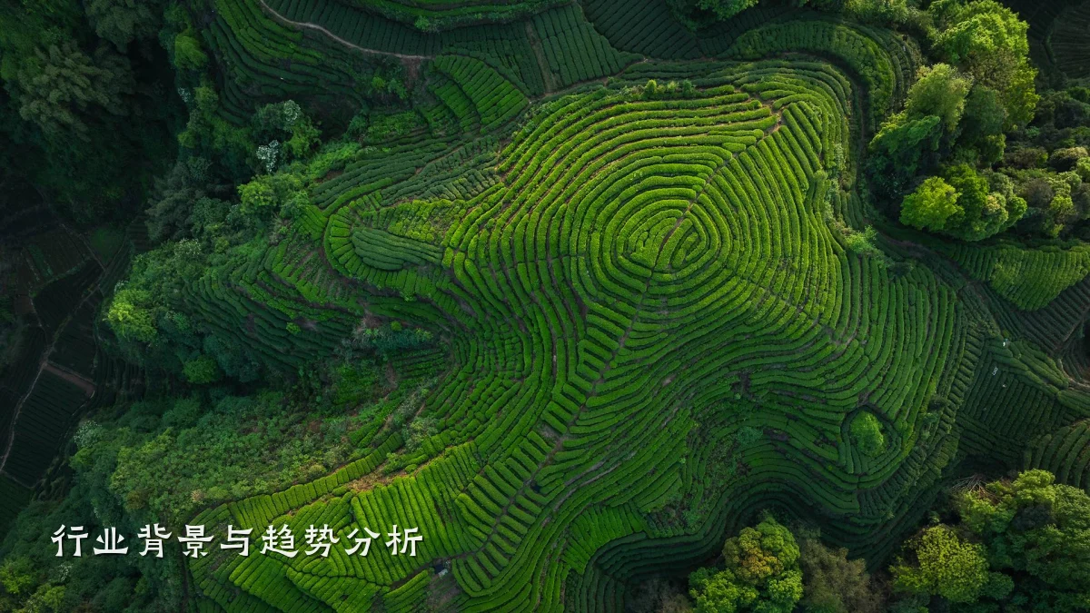 行业背景与趋势分析