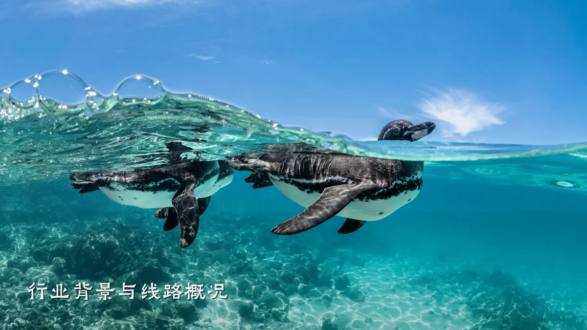 行业背景与线路概况