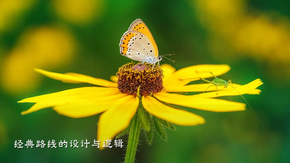 经典路线的设计与逻辑