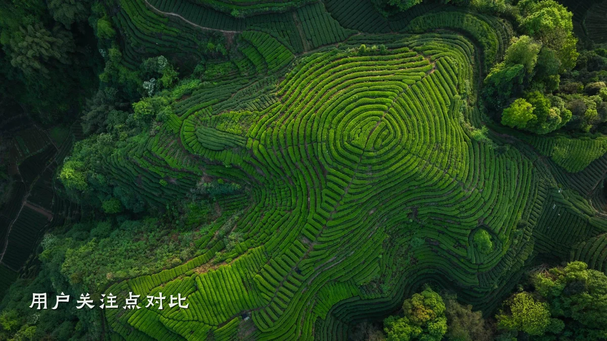 用户关注点对比