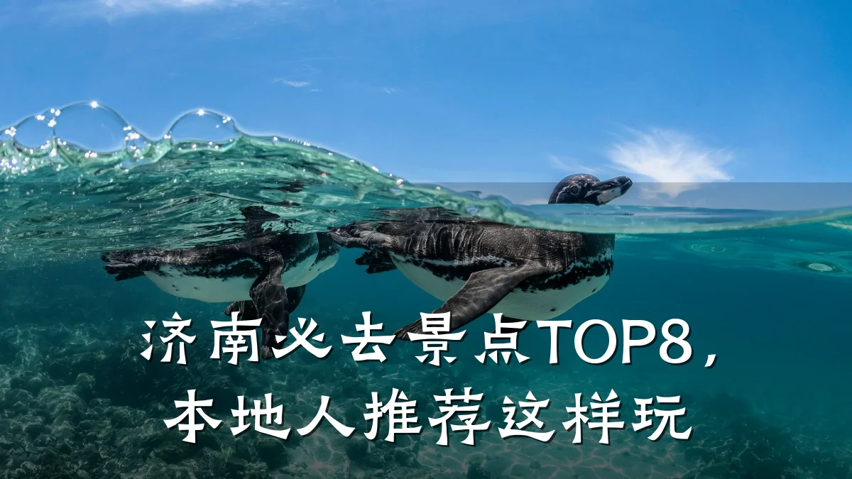济南必去景点TOP8,本地人推荐这样玩