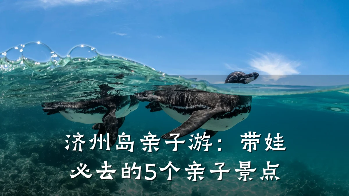 济州岛亲子游:带娃必去的5个亲子景点