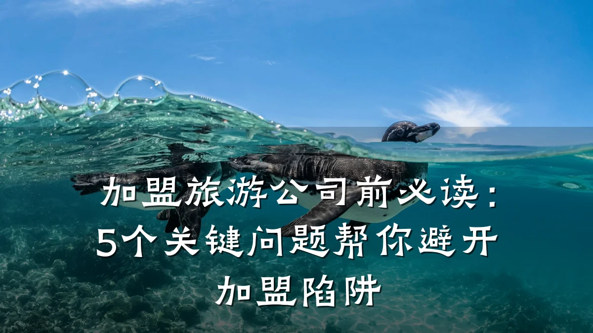 加盟旅游公司前必读:5个关键问题帮你避开加盟陷阱