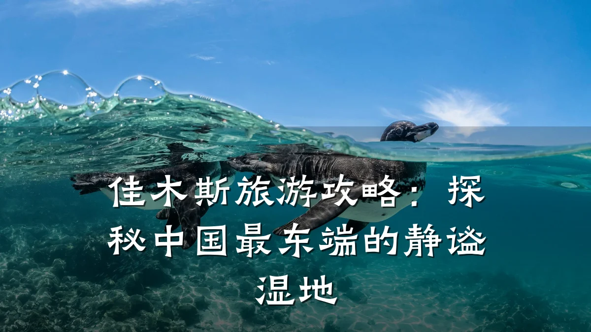 佳木斯旅游攻略:探秘中国最东端的静谧湿地