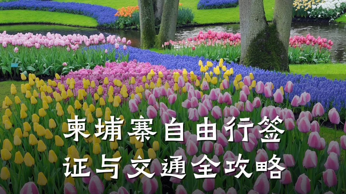 柬埔寨自由行签证与交通全攻略