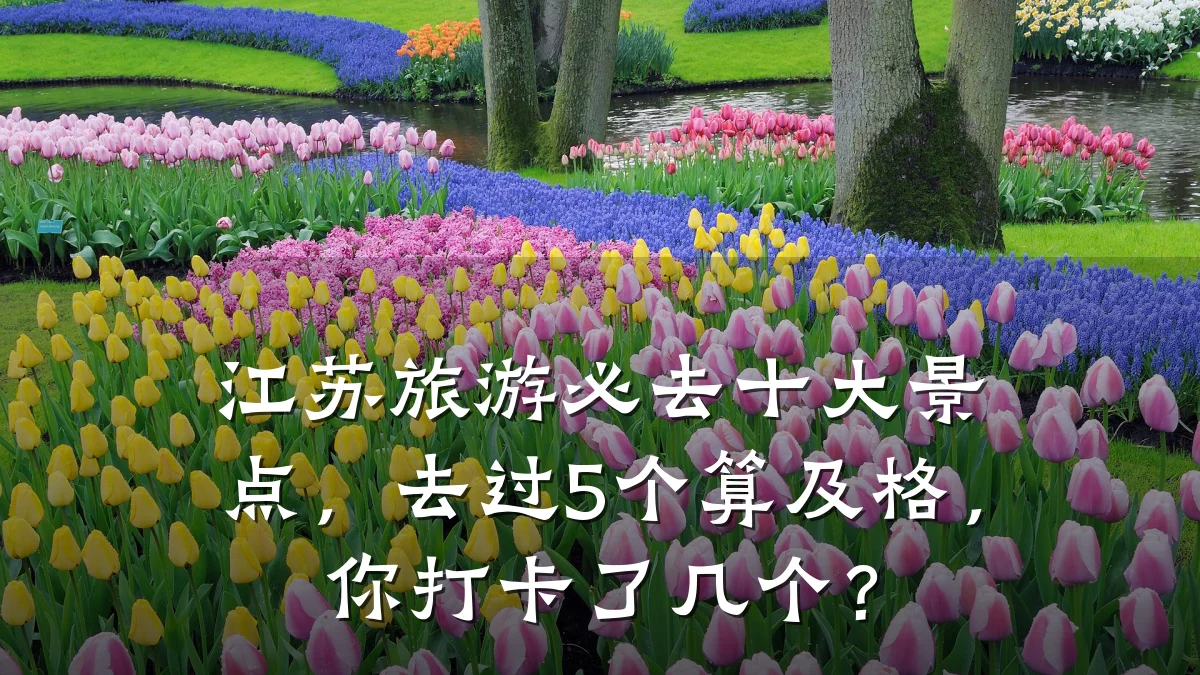 江苏旅游必去十大景点,去过5个算及格,你打卡了几个?