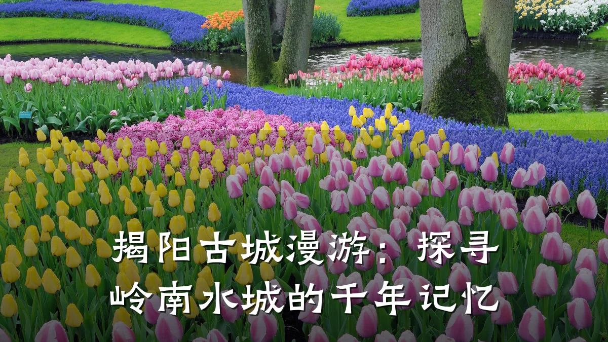 揭阳古城漫游:探寻岭南水城的千年记忆
