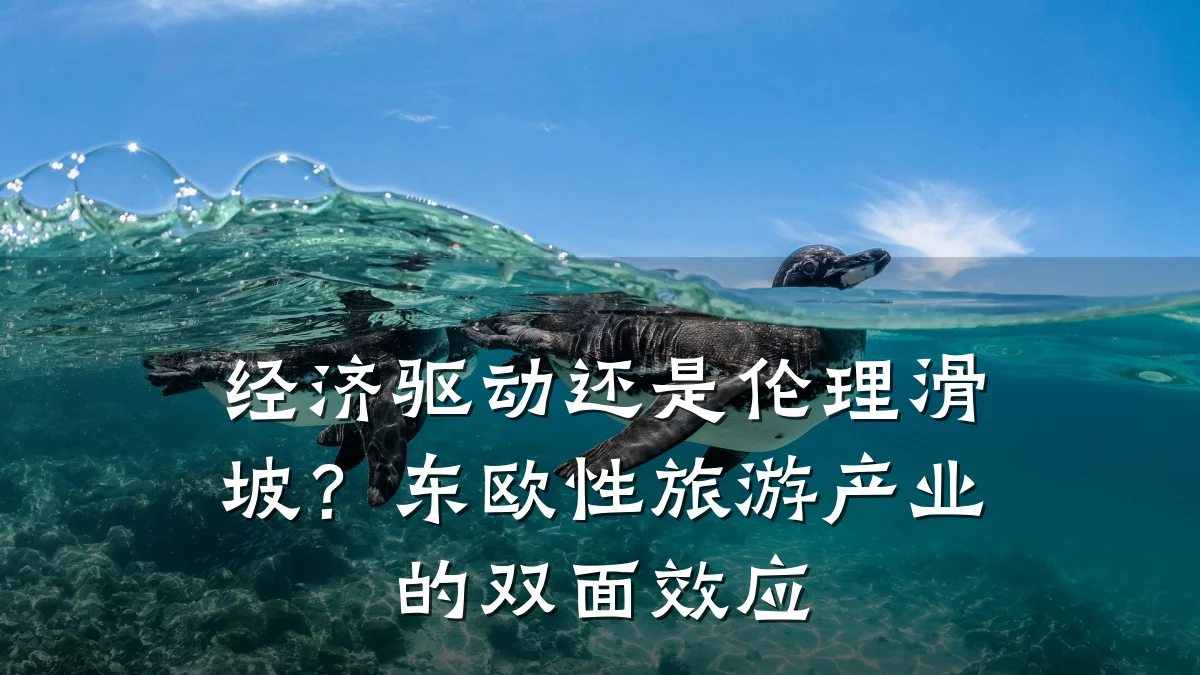 经济驱动还是伦理滑坡?东欧性旅游产业的双面效应