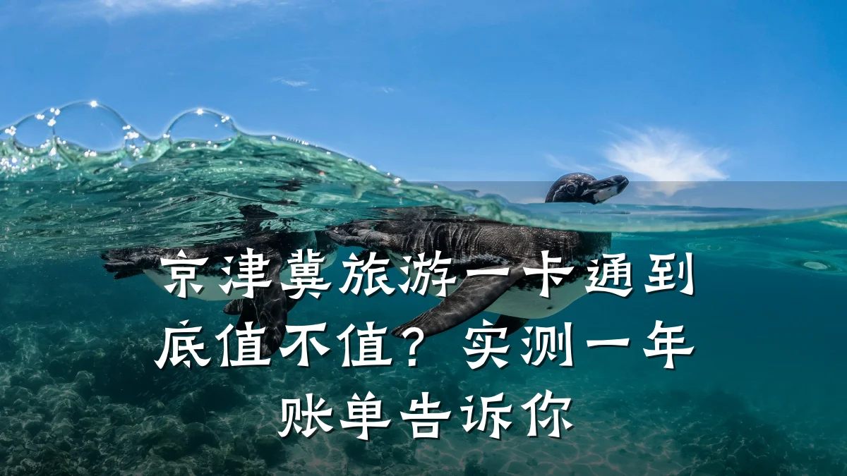 京津冀旅游一卡通到底值不值?实测一年账单告诉你