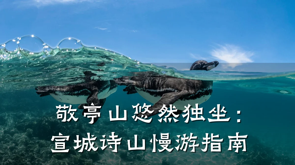 敬亭山悠然独坐:宣城诗山慢游指南