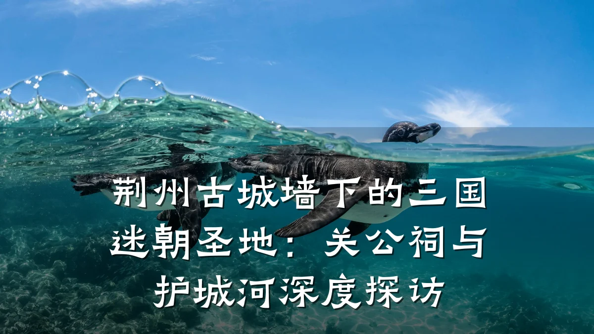 荆州古城墙下的三国迷朝圣地:关公祠与护城河深度探访