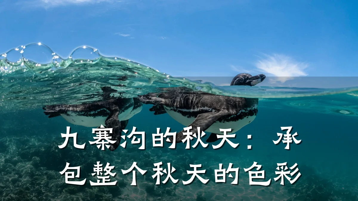 九寨沟的秋天:承包整个秋天的色彩
