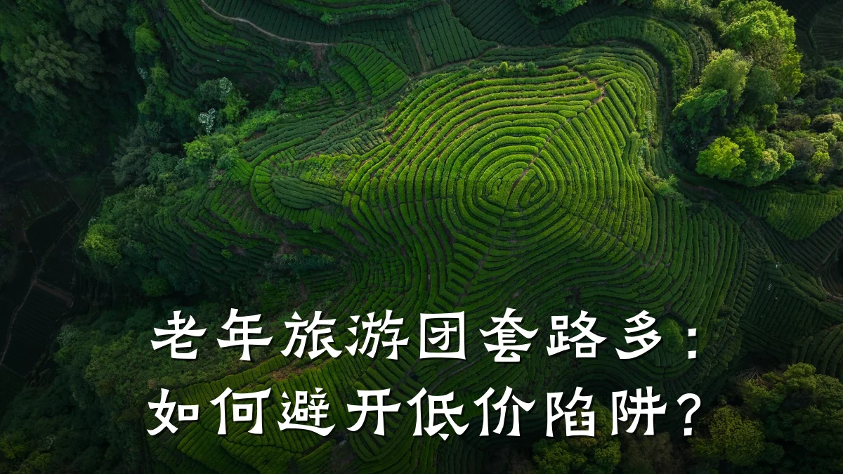 老年旅游团套路多:如何避开低价陷阱?