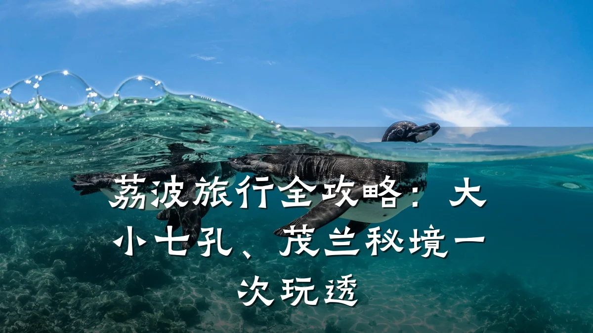 荔波旅行全攻略:大小七孔、茂兰秘境一次玩透