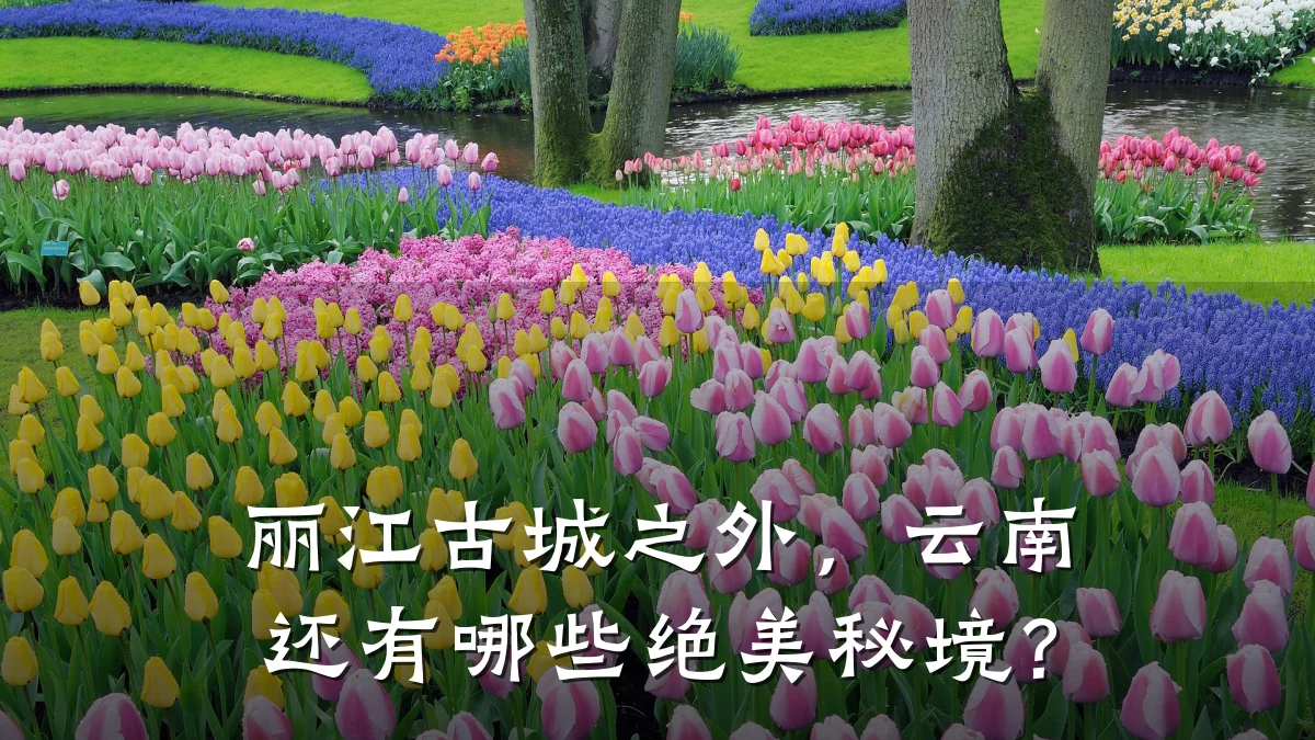 丽江古城之外,云南还有哪些绝美秘境?