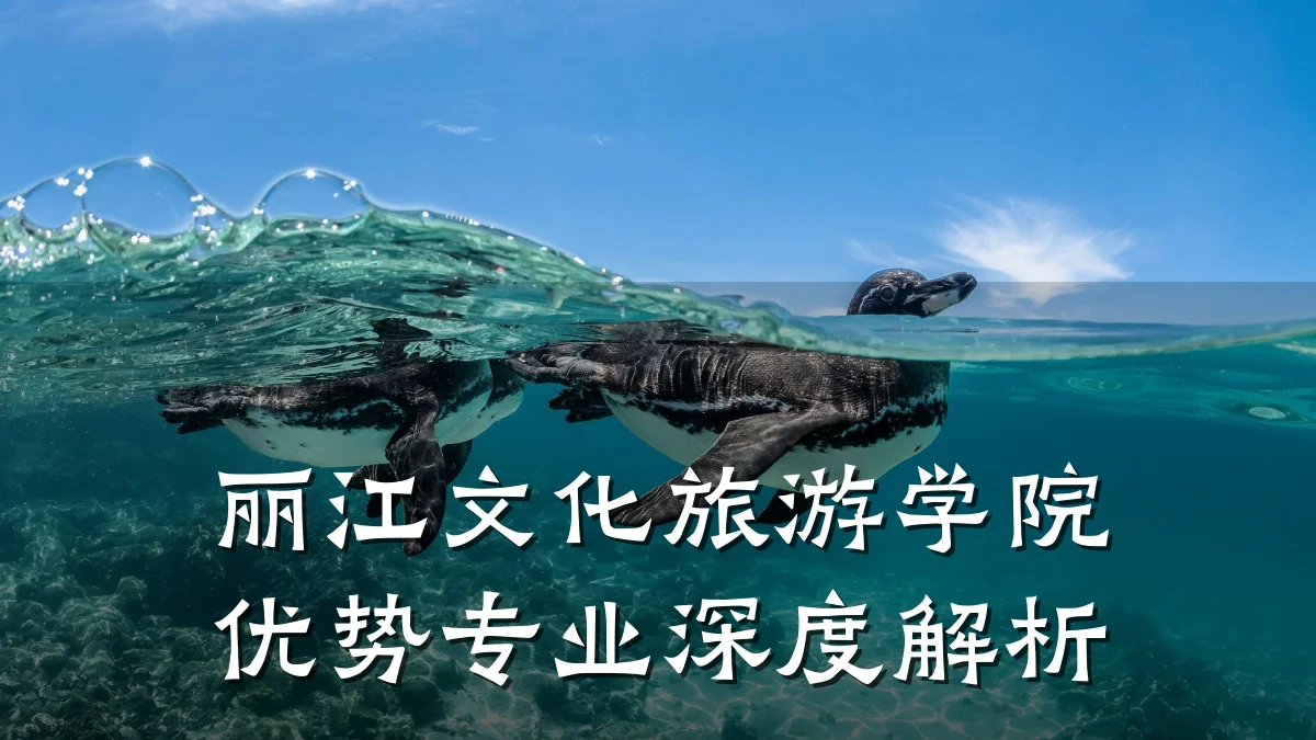 丽江文化旅游学院优势专业深度解析