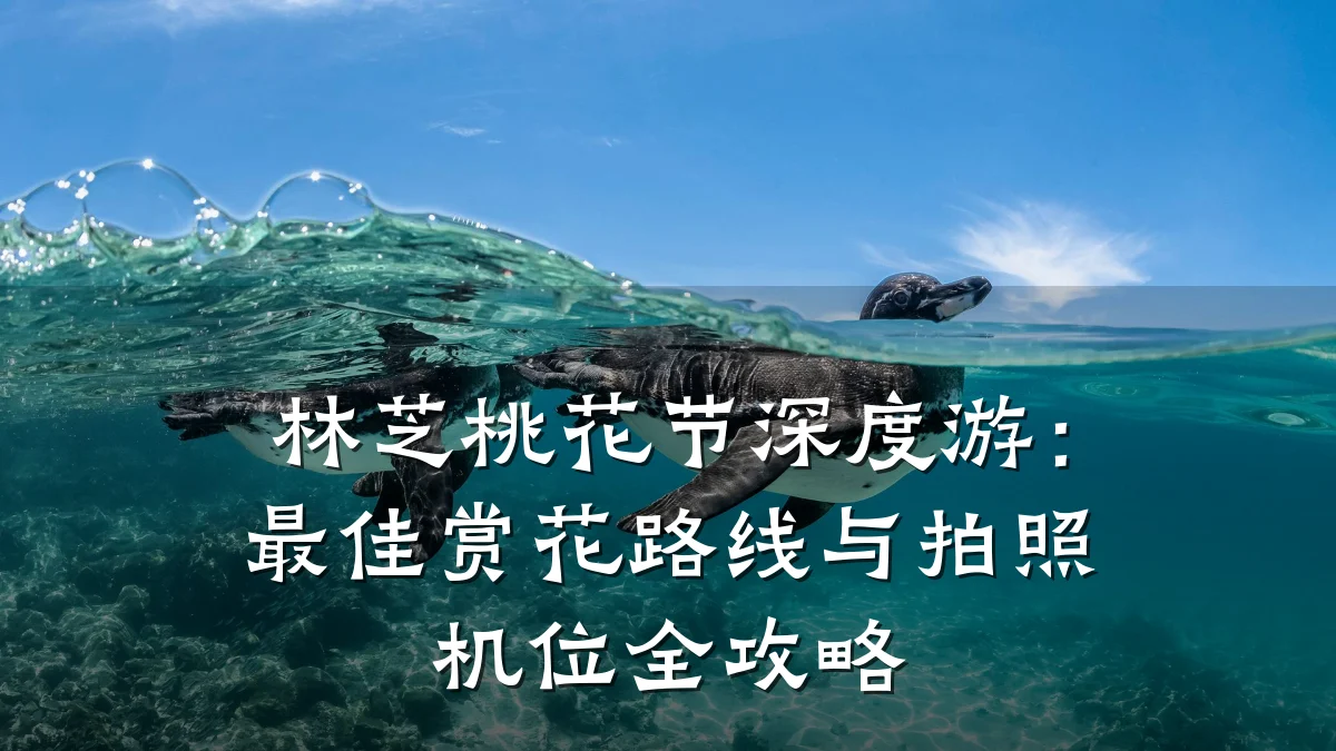 林芝桃花节深度游：最佳赏花路线与拍照机位全攻略