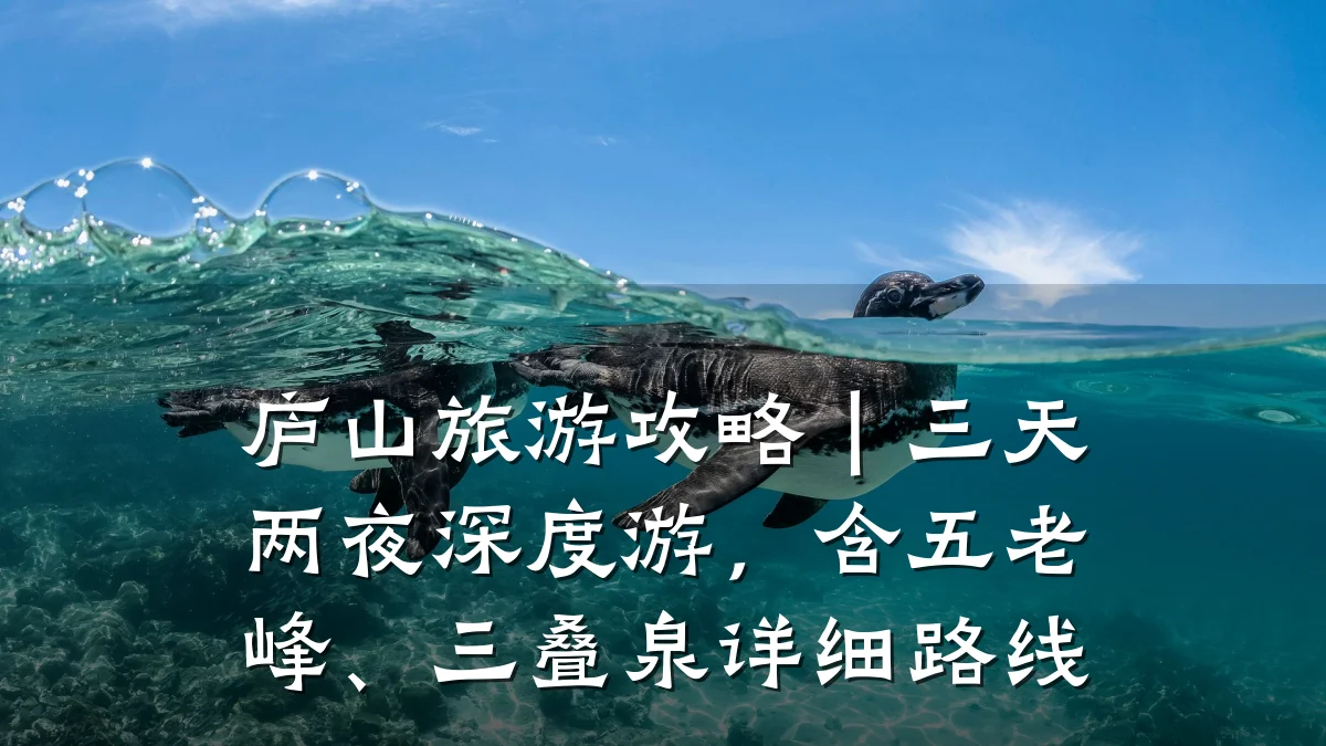 庐山旅游攻略|三天两夜深度游,含五老峰、三叠泉详细路线