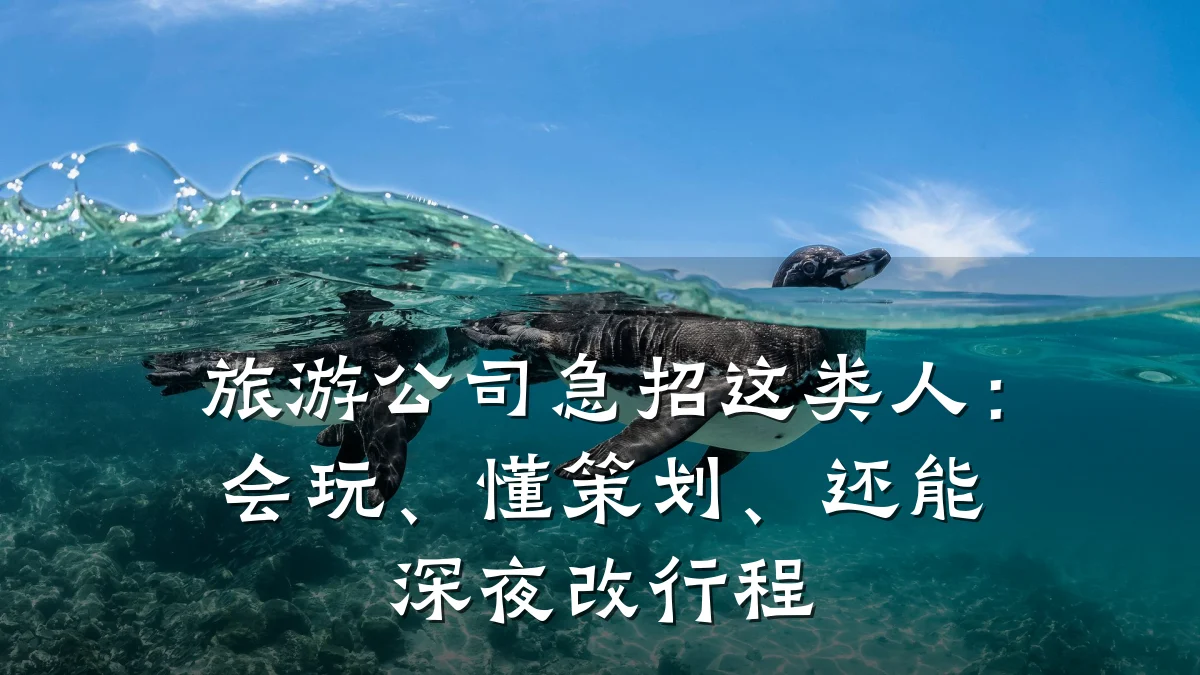 旅游公司急招这类人:会玩、懂策划、还能深夜改行程