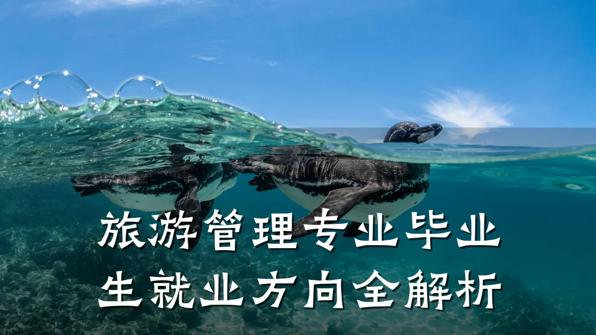 旅游管理专业毕业生就业方向全解析