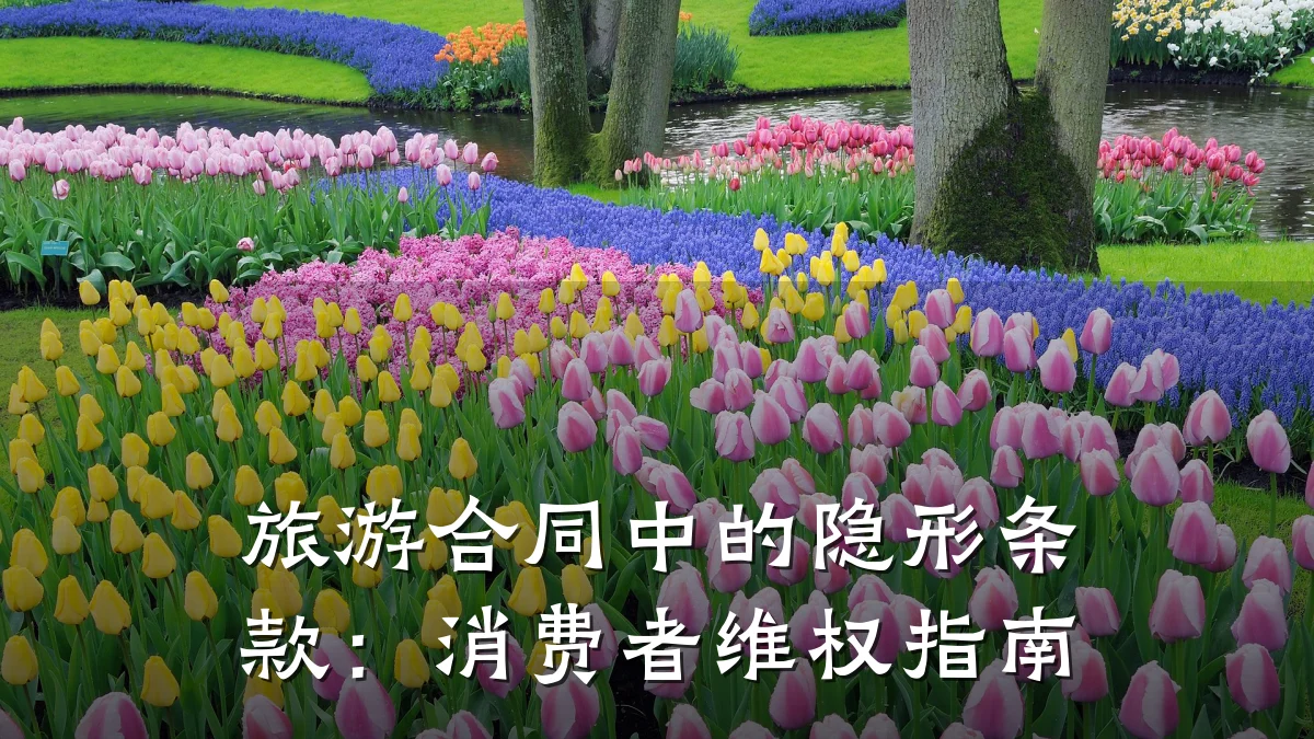 旅游合同中的隐形条款:消费者维权指南