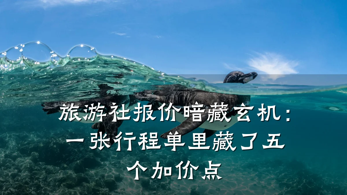 旅游社报价暗藏玄机：一张行程单里藏了五个加价点