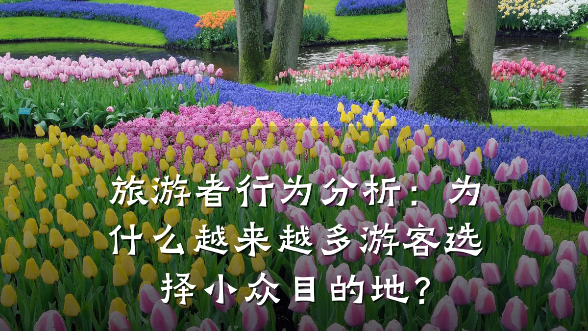 旅游者行为分析:为什么越来越多游客选择小众目的地?