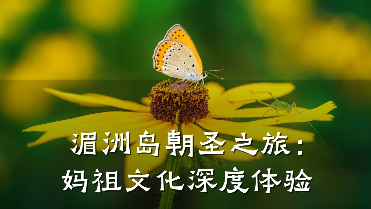 湄洲岛朝圣之旅:妈祖文化深度体验