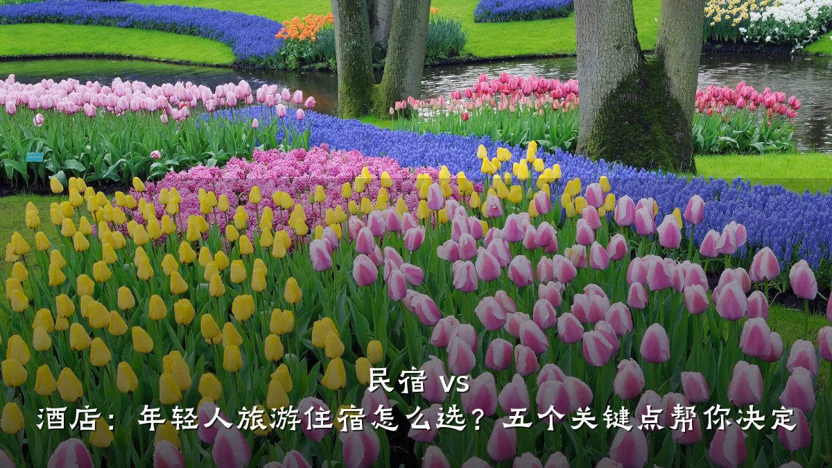 民宿 vs 酒店：年轻人旅游住宿怎么选？五个关键点帮你决定