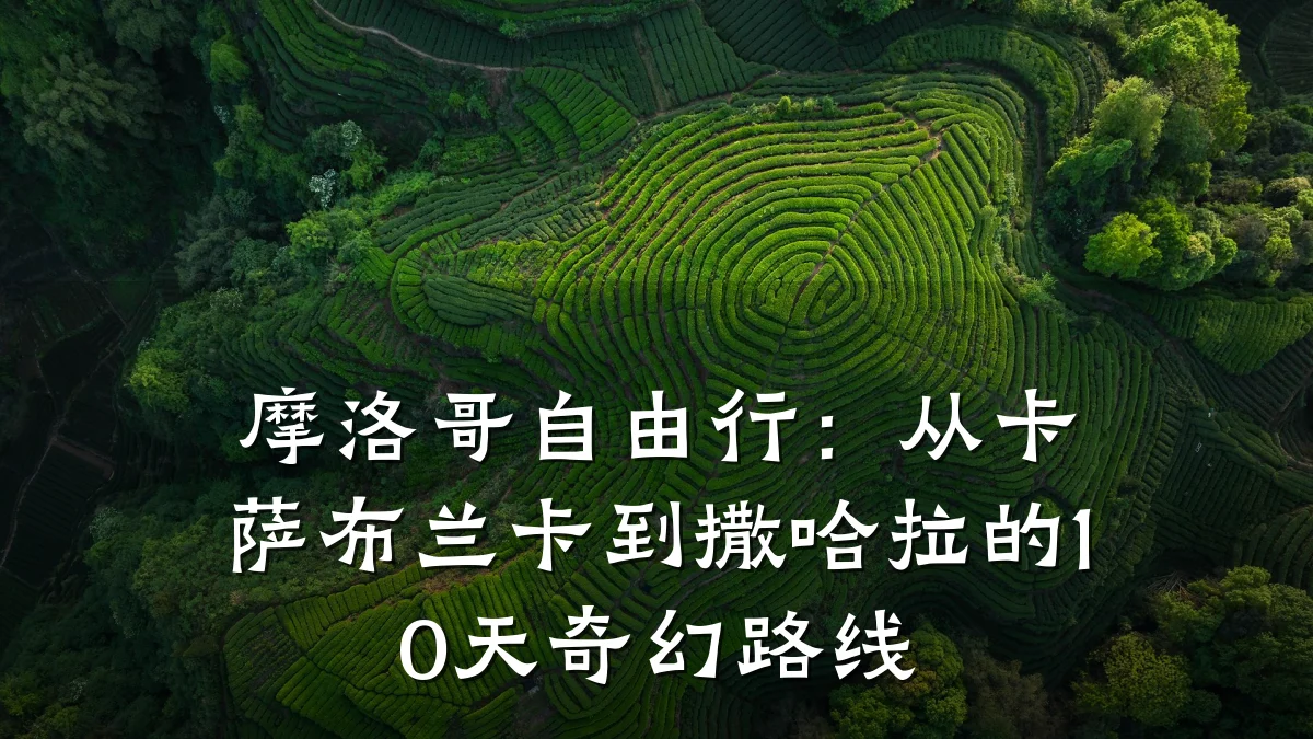 摩洛哥自由行:从卡萨布兰卡到撒哈拉的10天奇幻路线