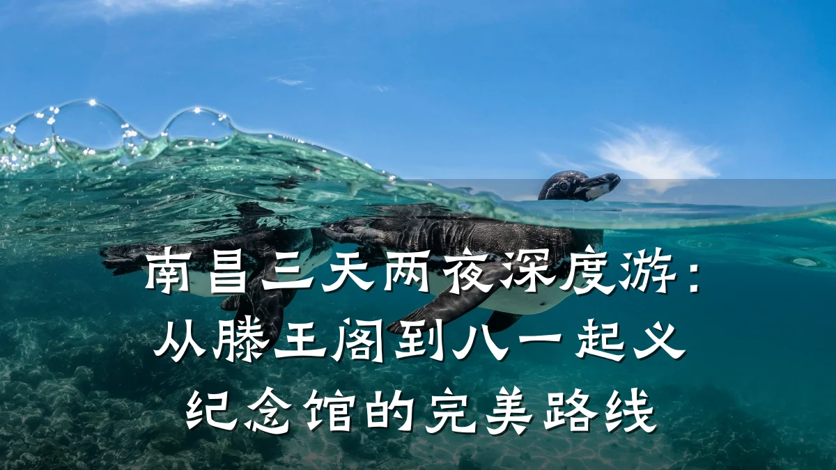 南昌三天两夜深度游:从滕王阁到八一起义纪念馆的完美路线