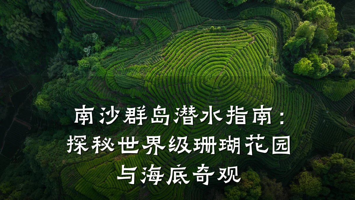 南沙群岛潜水指南:探秘世界级珊瑚花园与海底奇观