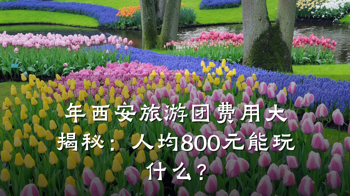 年西安旅游团费用大揭秘:人均800元能玩什么?