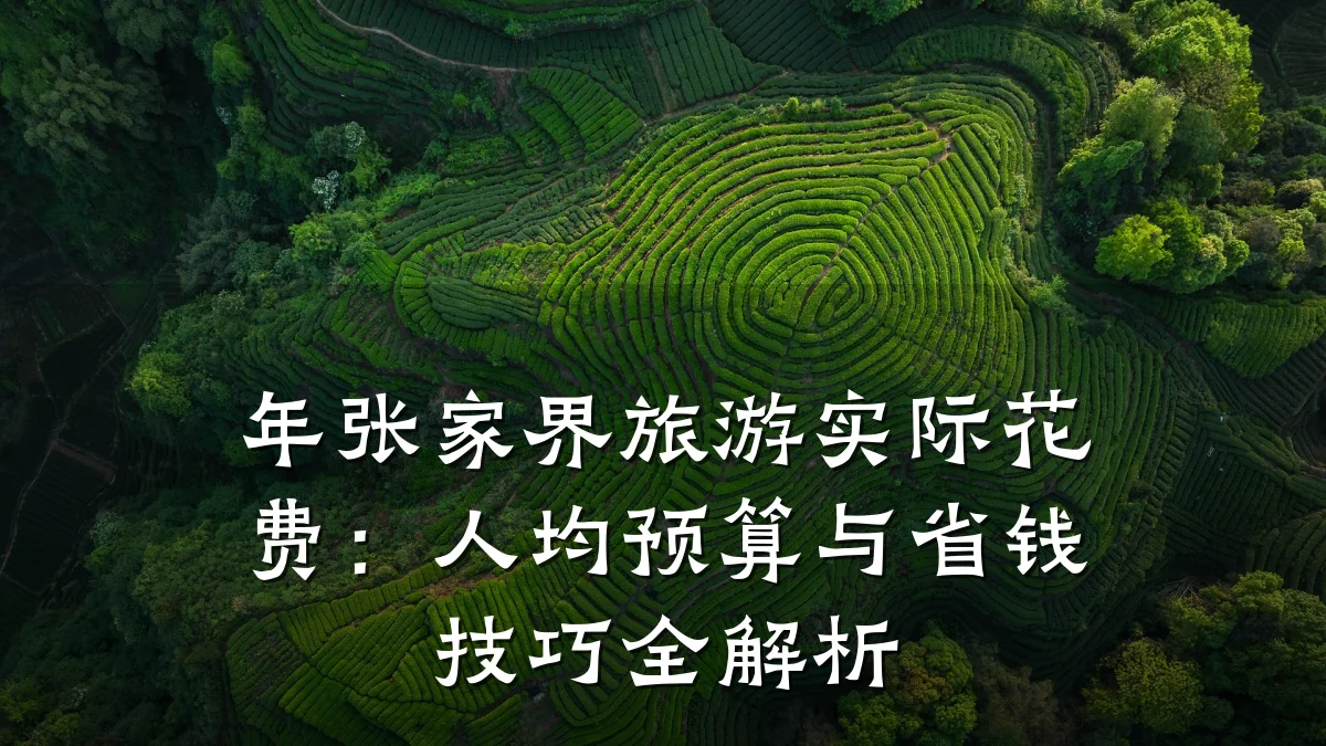 年张家界旅游实际花费:人均预算与省钱技巧全解析