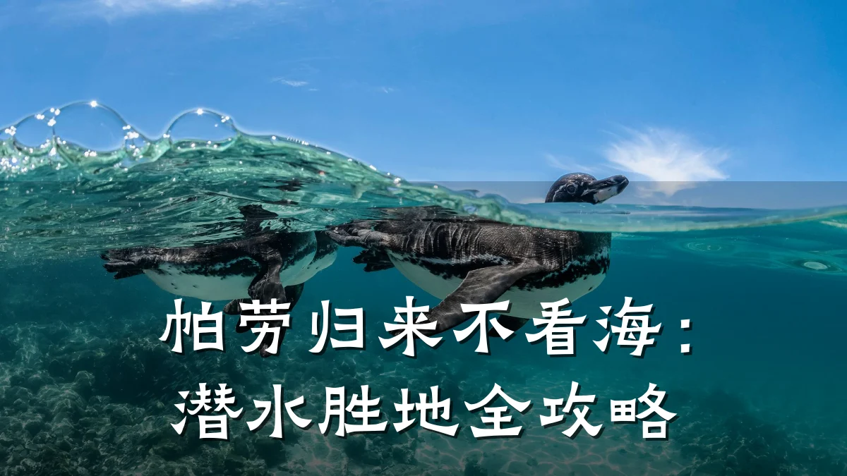 帕劳归来不看海:潜水胜地全攻略