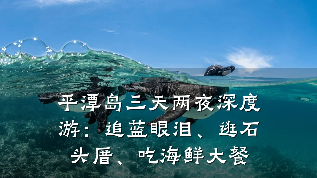 平潭岛三天两夜深度游:追蓝眼泪、逛石头厝、吃海鲜大餐