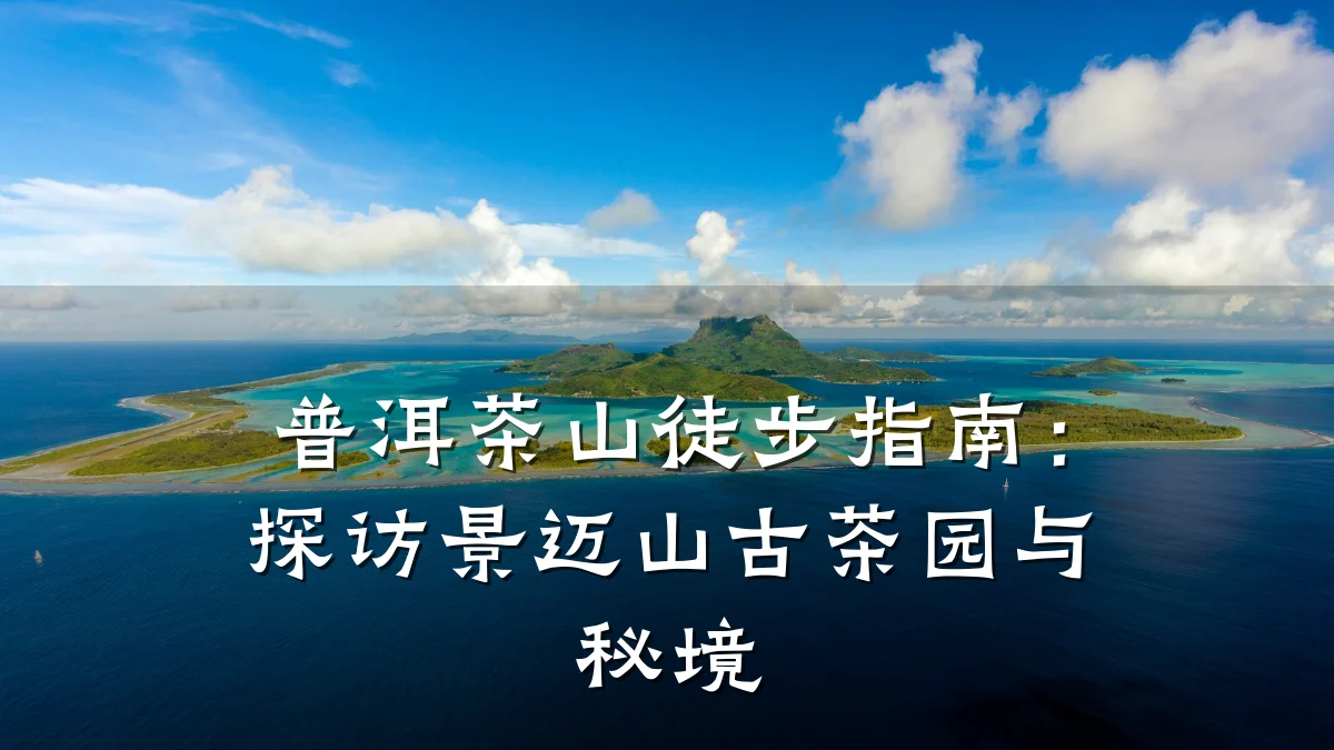 普洱茶山徒步指南：探访景迈山古茶园与秘境