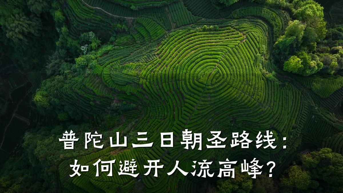 普陀山三日朝圣路线:如何避开人流高峰?