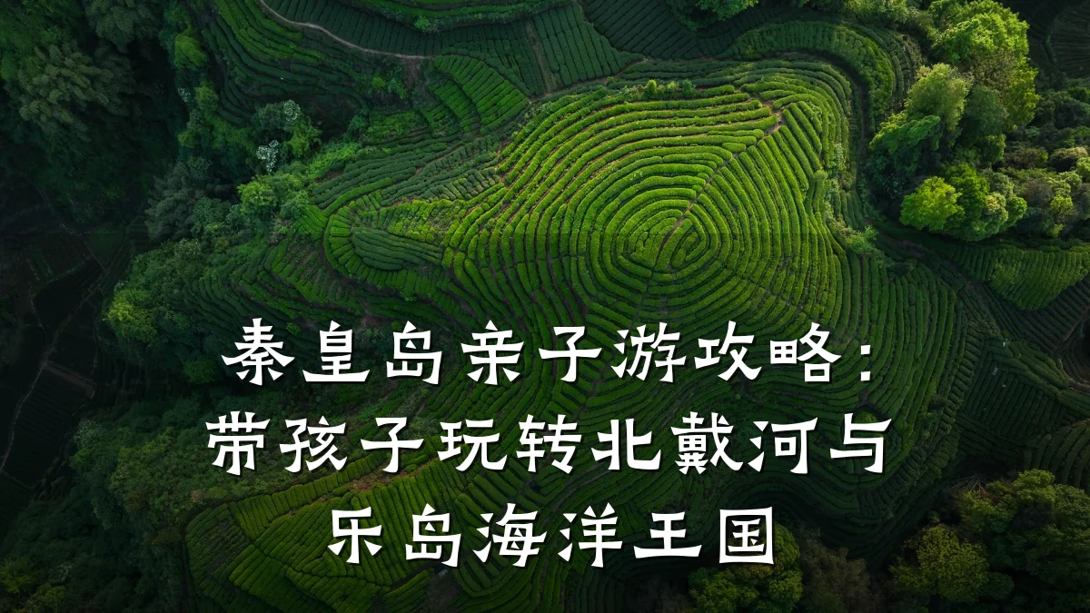 秦皇岛亲子游攻略:带孩子玩转北戴河与乐岛海洋王国