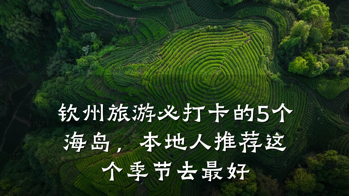 钦州旅游必打卡的5个海岛，本地人推荐这个季节去最好